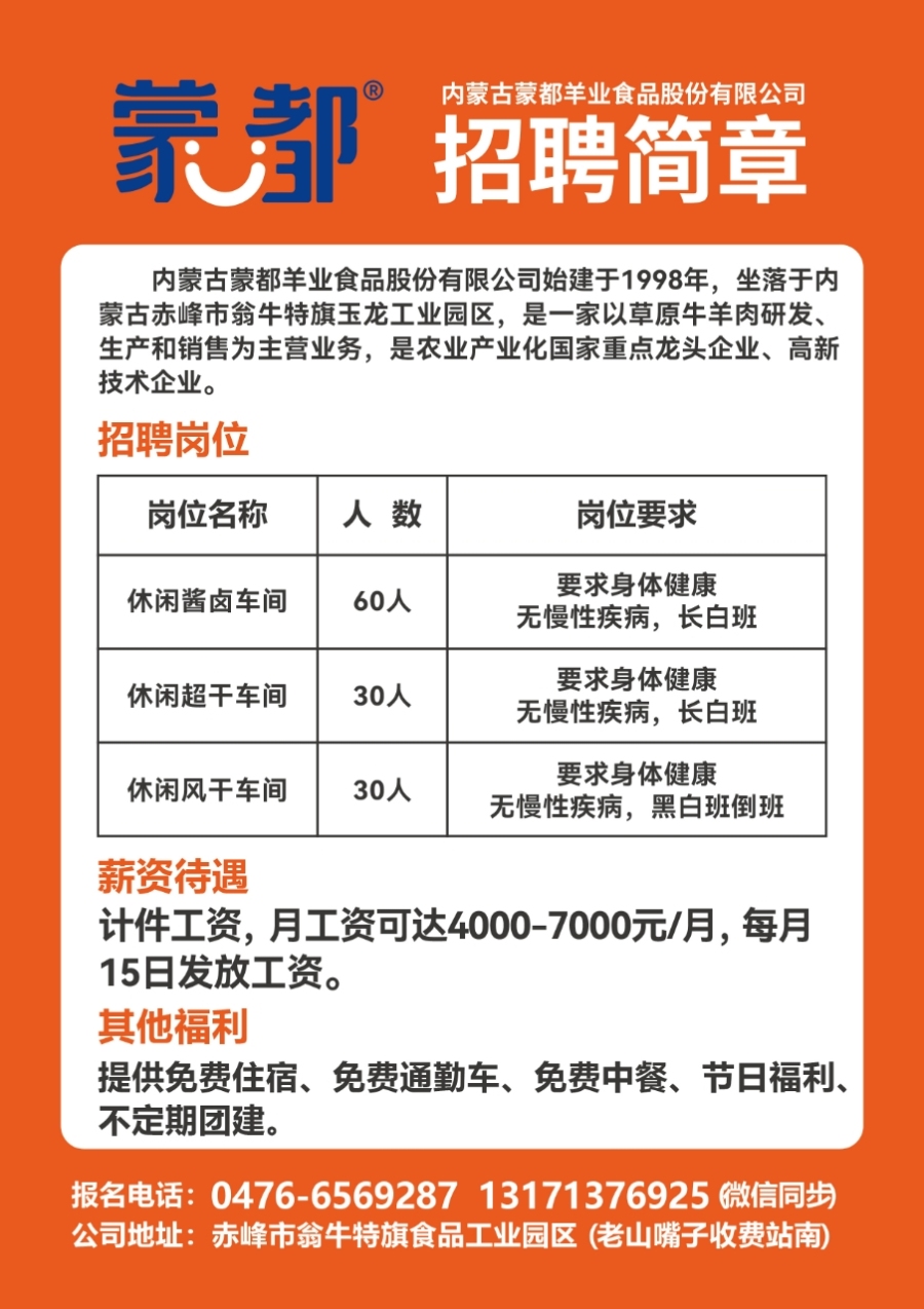 嵩县招聘网最新招聘动态深度解析及解读