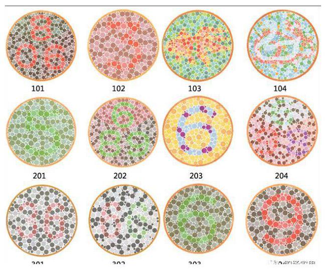 最新色盲检查图，早期发现与干预色盲的关键
