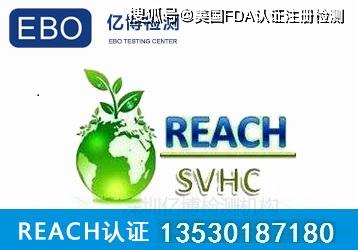 REACH法规最新化学品数量统计报告，涵盖多少项？